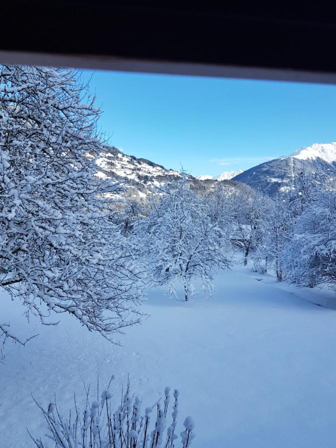 Montafon Alpen Chalet Vandans Luaran gambar